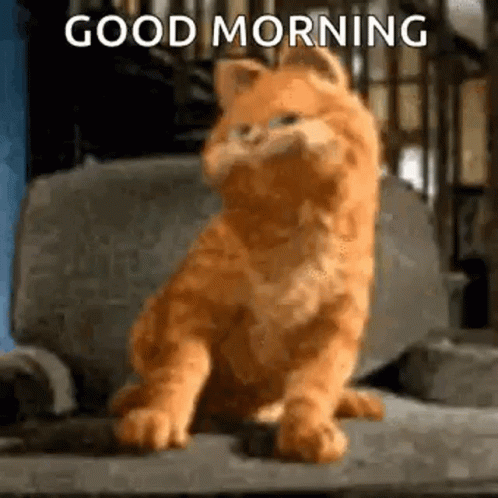 Funny Good Morning Garfield