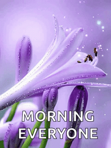 Good Morning All Of You With Sparkles Gif