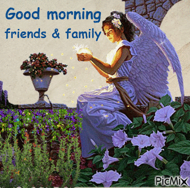 Good Morning Angel Have A Fantastic Fairy Gif]