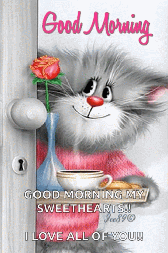 Good Morning Funny Cat With Rose Gif