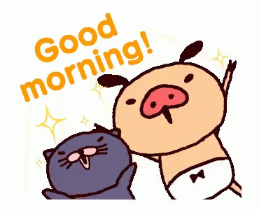 Good Morning Funny Gif Have A Nice Day Gif