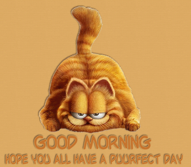 Good Morning Garfield Gif Quote