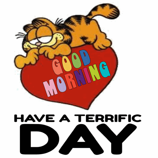 Good Morning Garfield Have A Terrific Day