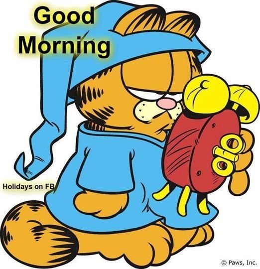 Good Morning Garfield Image