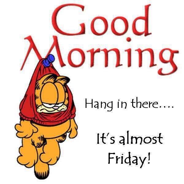 Good Morning Garfield Its Friday