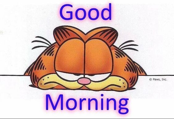 Good Morning Garfield Purple