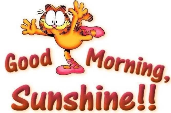 Good Morning Garfield Sunshine