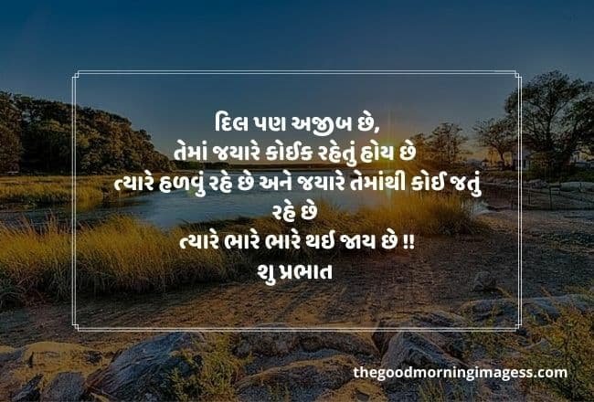 Good Morning Gujarati Photo