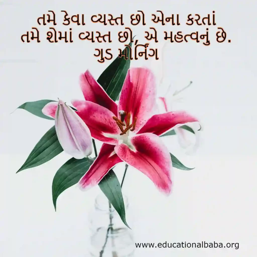 Good Morning Gujarati Pink Flower