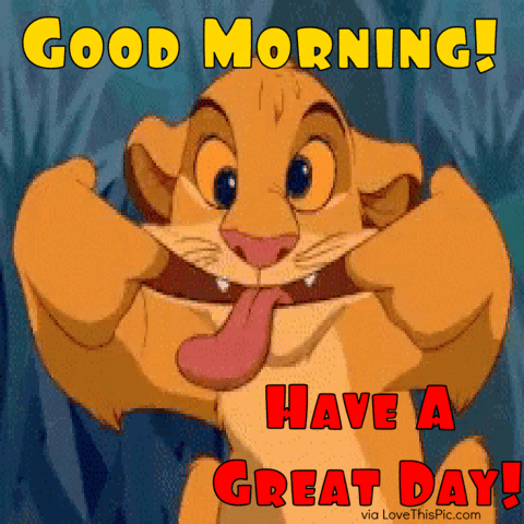 Good Morning Have A Great Day Funny Gif