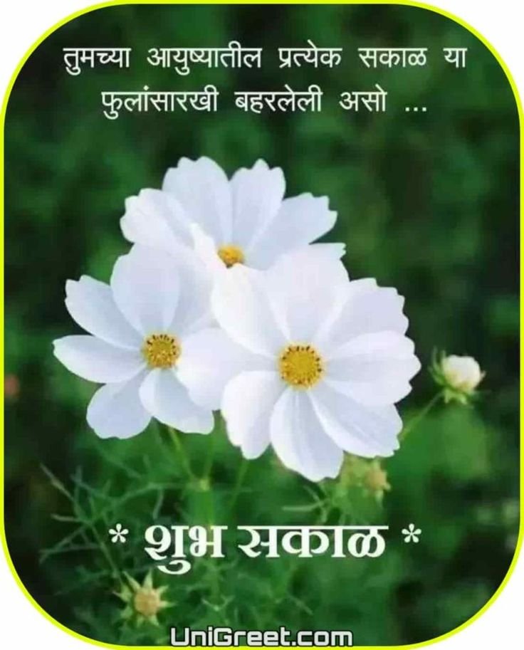 Good Morning Images Marathi Best