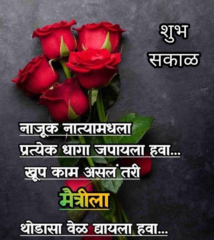 Good Morning Images Marathi Rose