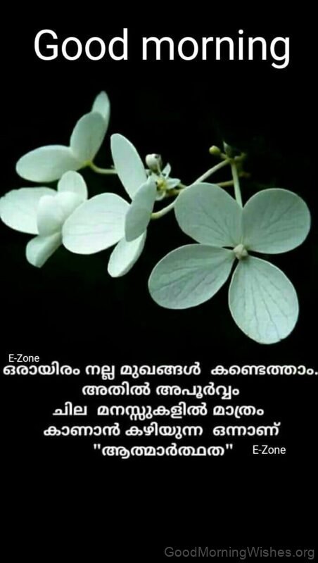 Good Morning Malayalam Quote Photo