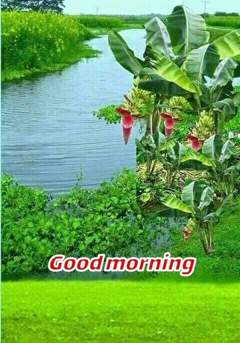 Good Morning River Have A Great Day