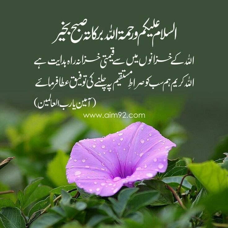 Good Morning Urdu Picture