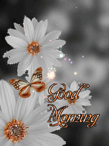 Good Morning With White Flowers And Butterfly Gif