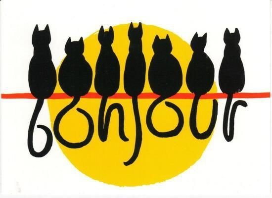 Great Bonjour Good Morning Cat