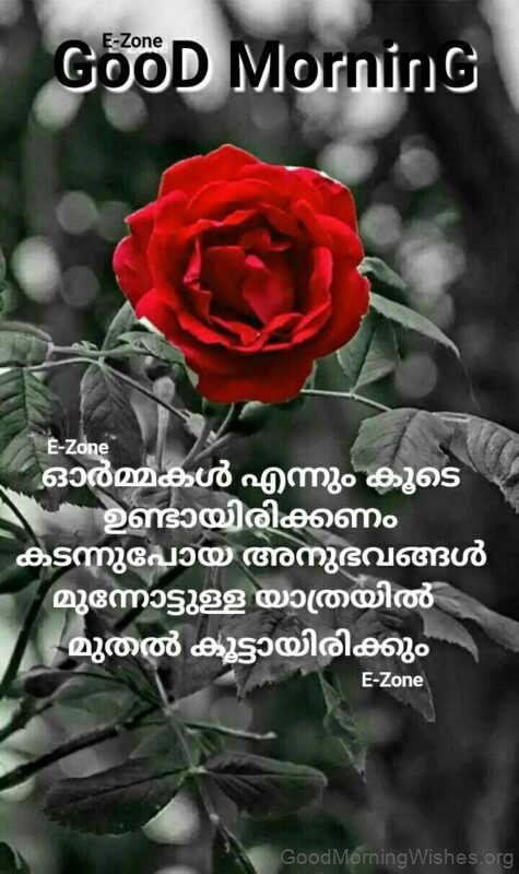 Greeting Malayalam Good Morning Quote