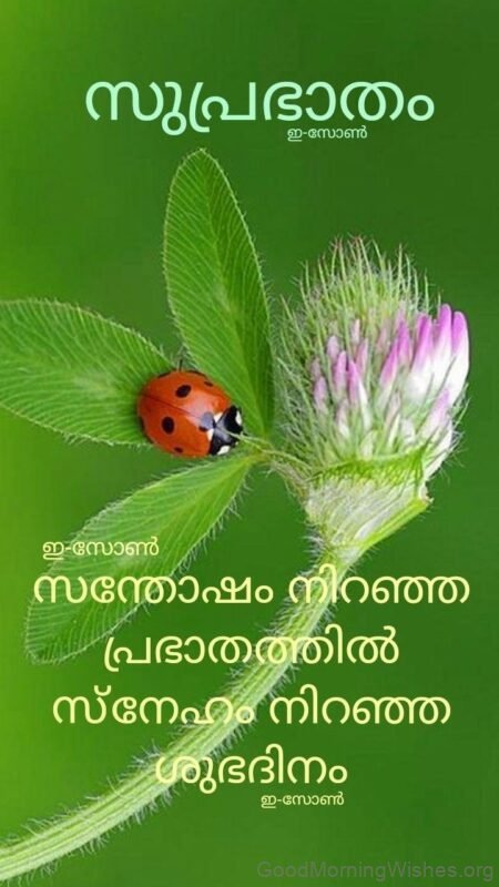 Image Of Good Morning Malayalam Quote