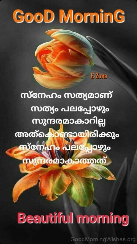 Image Of Malayalam Good Morning Quote