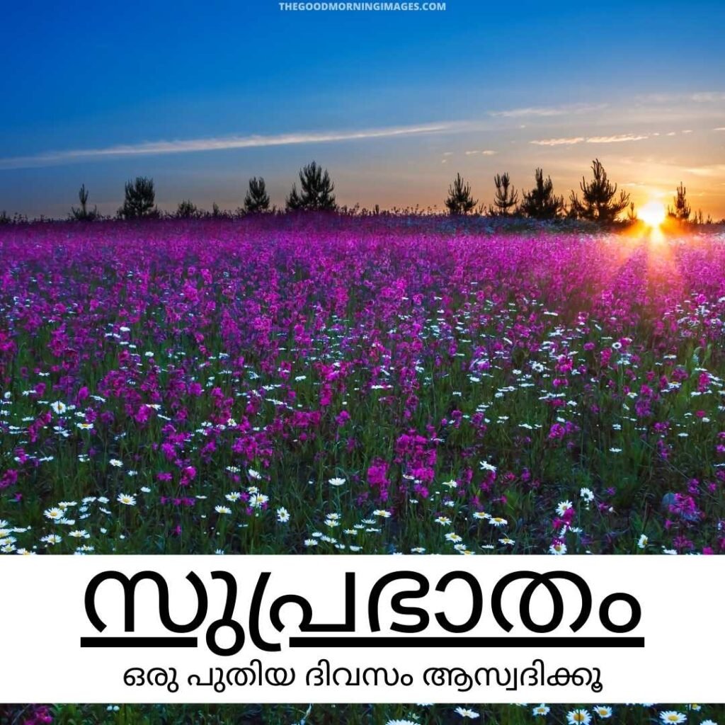 Image Of Malayalam Good Morning