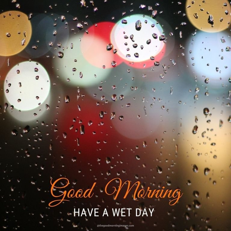 40+ Good Morning Rain Drops Images - Good Morning Pictures