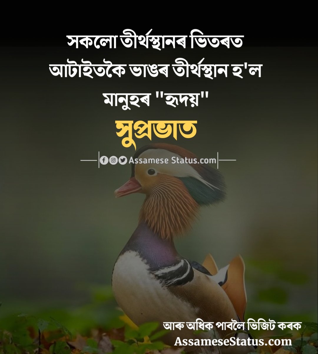 Message Assamese Good Morning