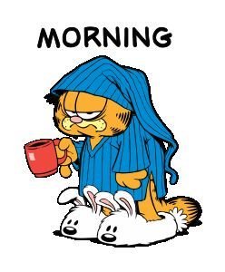 Morning Garfield