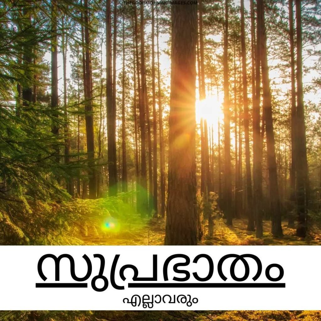 Picture Of Good Morning Malayalam