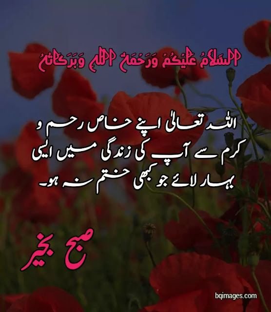 Urdu Good Morning