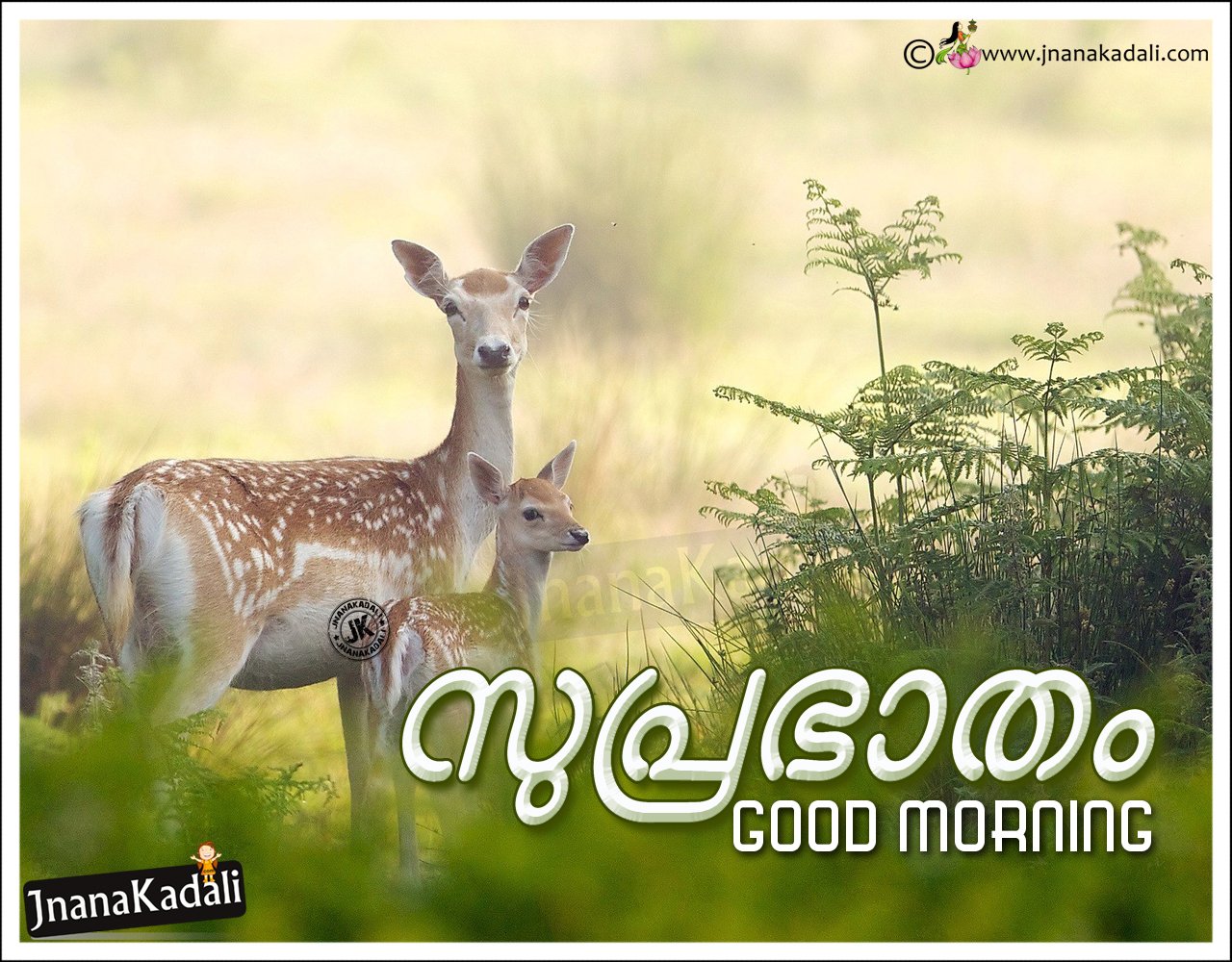 Wish Photo Malayalam Good Morning