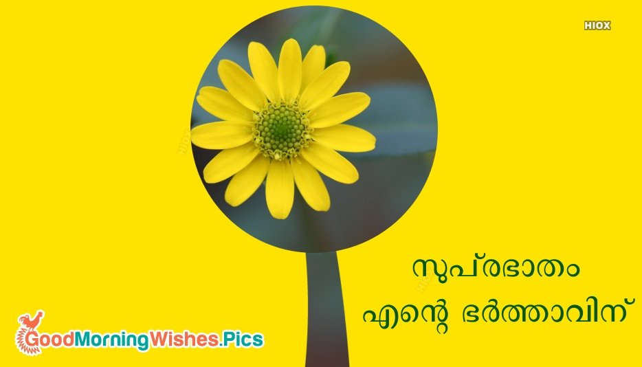 Yellow Flower Malayalam Good Morning