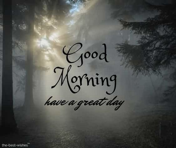 Good Morning Fog Image